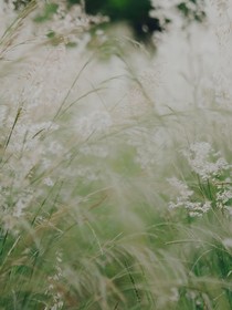 山海游：寻己录