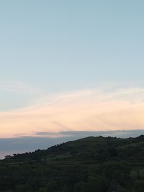 梣霖