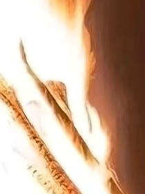 731部队