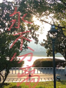 息去的灯光