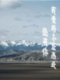 我愛的不止西北，還有你-d969