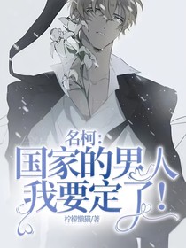 名柯：国家的男人我要定了！
