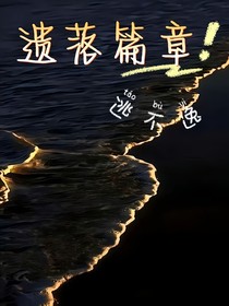 遗落篇章