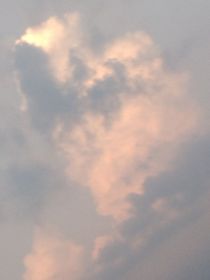 青春的逆光