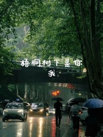 梧桐树下是你我