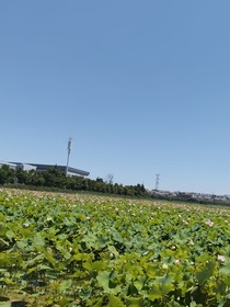 玖月暖