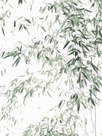 离开后的那一年