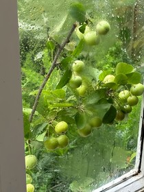 你喜歡下雨天嗎