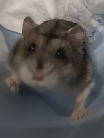 是嗎？是吧