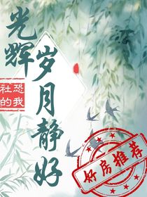 光辉岁月静好