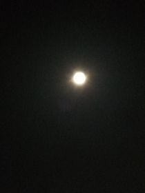 枪声