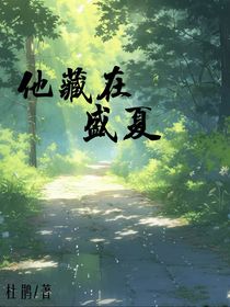 他藏在盛夏