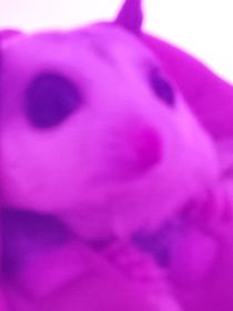 重回穿越