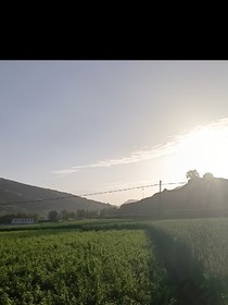 岸的小清澤