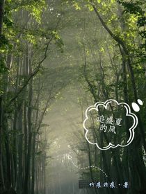 追盛夏的風(fēng)