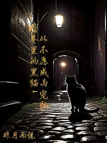 暗巷里的黑猫，从不愿成为宠物