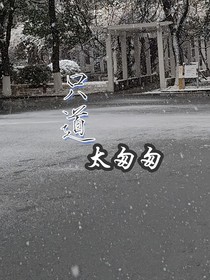 斗龙：只道，太匆匆