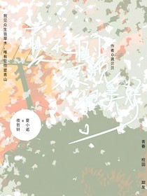 夏天的夜晚很美好