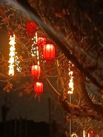 金陵池水不知深浅
