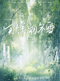 那年初冬雪