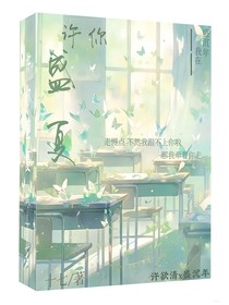 许你盛夏……