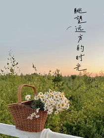 眺望远方的时光