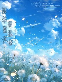 那年夏天很温柔