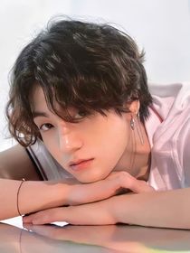 BTS之大家都疯了