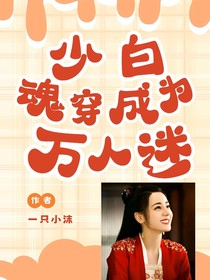 少白：魂穿成为万人迷