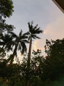 TNT：阎王借我夺男主