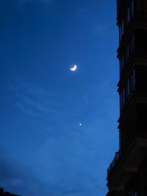 综影视：上官芷