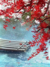 红尘一梦，尘缘尽