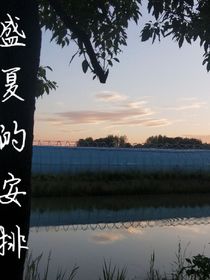 盛夏的安排