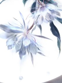 小说群聊