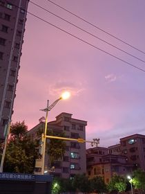 唯TA是也