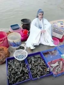 长相思长相思
