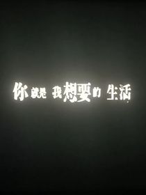 二十几岁的青春