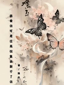 我爱你可是位高权重我娶不了你