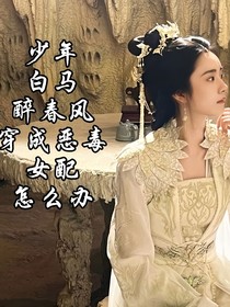 少年白马，穿成恶毒女配怎么办