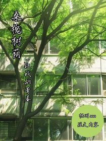 桑槐树荫
