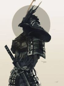 武士与忍者