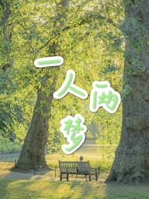 一人两梦