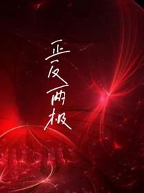 正反两极