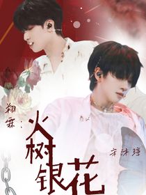 翔霖：火树银花