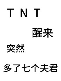TNT：醒来突然多了七个夫君