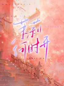 茉莉何时开