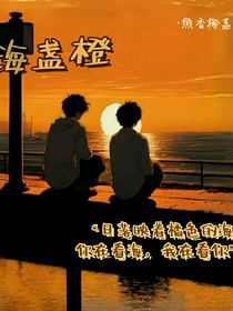 海盏橙