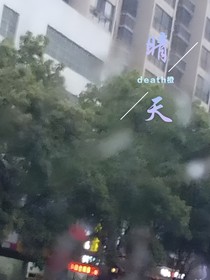 晴天dz