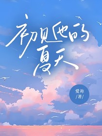初见他的夏天