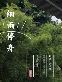 細(xì)雨停舟